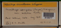 Image Associated With the Occurence